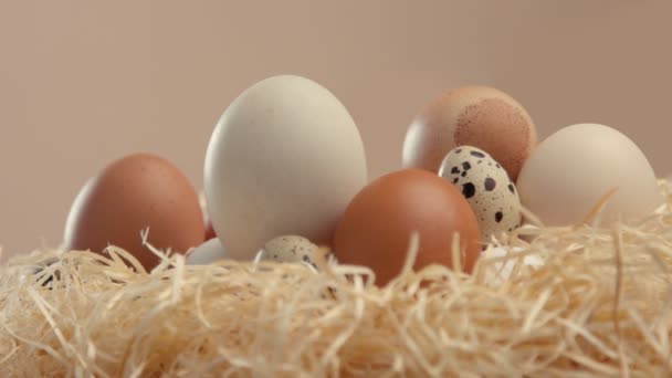 Белое яйцо крупным планом готово к вылуплению — стоковое видео