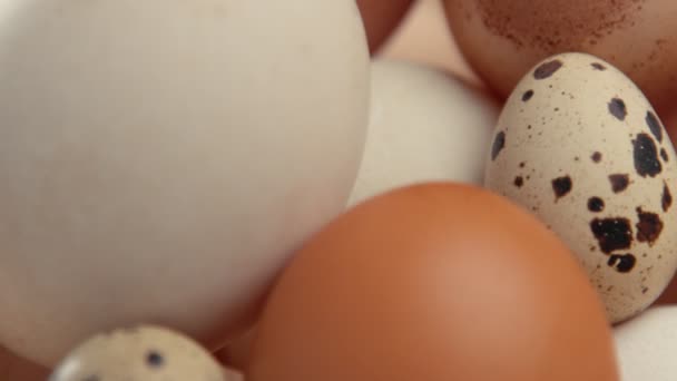 Diferentes tipos de ovos — Vídeo de Stock