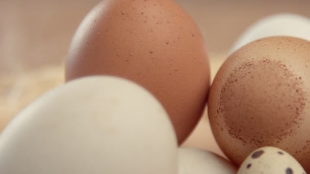 Различные виды яиц — стоковое видео