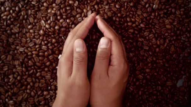 Mans hand full of coffee beans — Stock Video