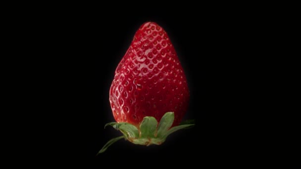 Färsk jordgubbe på svart bakgrund och en transparent droppe hälla på den — Stockvideo