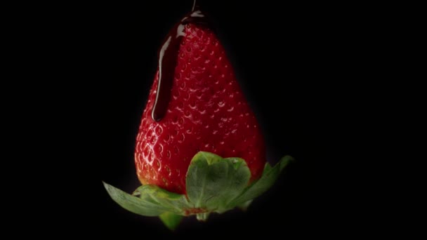 Strawbery που καλύπτονται από μαύρη σοκολάτα — Αρχείο Βίντεο
