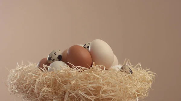 Hnízdo s různými vejci. Velikonoční vejce — Stock fotografie
