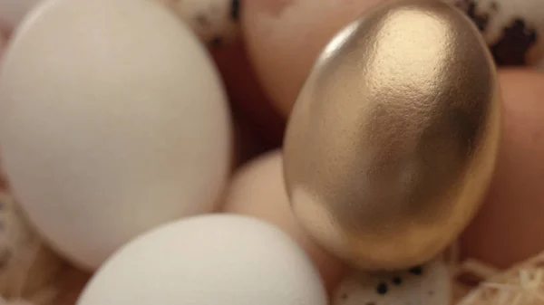Mistura de ovos diferentes e o dourado no primeiro avião — Fotografia de Stock