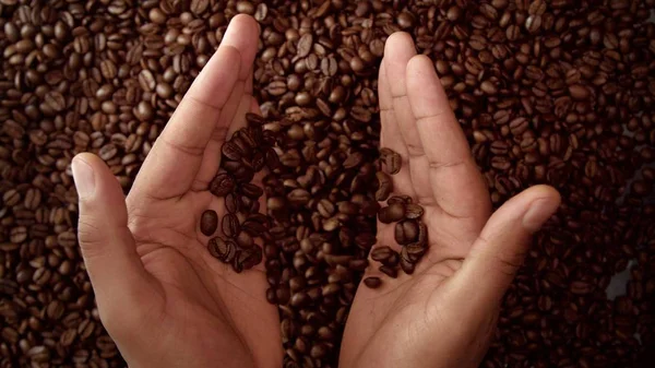 Mâna omului plină de boabe de cafea — Fotografie, imagine de stoc