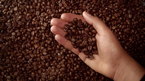 Mão de homem cheia de grãos de café — Fotografia de Stock