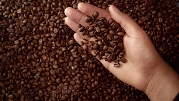 mans hand full of coffee beans