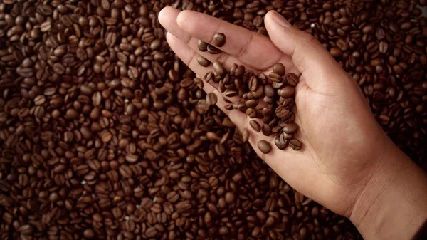 mans hand full of coffee beans