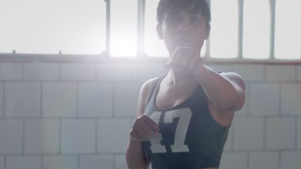 Joven mestiza africana americana mujer hace un entrenamiento de boxeo en soleado loft — Vídeos de Stock