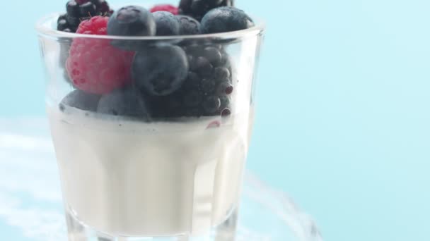 Gafas Transparentes Llenas de Yogur, Panna Cotta, Mousse de Vainilla Blanca Decorado con Bayas — Vídeos de Stock