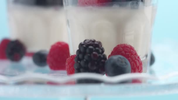 Transparente Gläser voller Joghurt, Panna Cotta, weißer Vanillemousse mit Beerendekor — Stockvideo