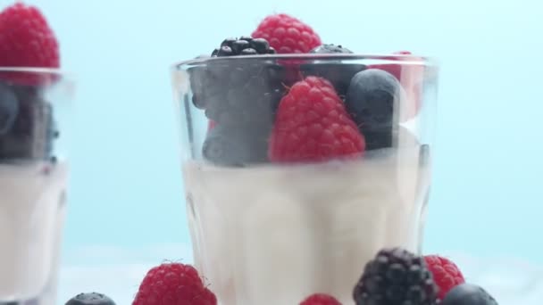 Transparente Gläser voller Joghurt, Panna Cotta, weißer Vanillemousse mit Beerendekor — Stockvideo