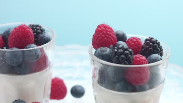 Transparente Gläser voller Joghurt, Panna Cotta, weißer Vanillemousse mit Beerendekor — Stockvideo