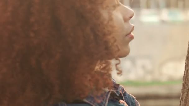 Черный смешанной расы женщина с большой афро кудрявые волосы на газоне с высокой сухой осенней травой сена и заката света — стоковое видео