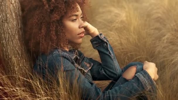 Smíšené rasy černý žena s velkým afro kudrnaté vlasy v trávníku oblasti s vysokým suché podzimní seno trávu a západ slunce světlo — Stock video