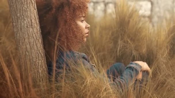 Zwart gemengd ras vrouw met grote afro krullend haar op gazon gebied met hoge droge herfst hay gras en zonsondergang licht — Stockvideo