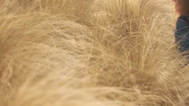 çim alan yüksek kuru sonbahar saman çim ve günbatımı ışığı ile büyük afro kıvırcık saçlı siyah karışık ırk kadın