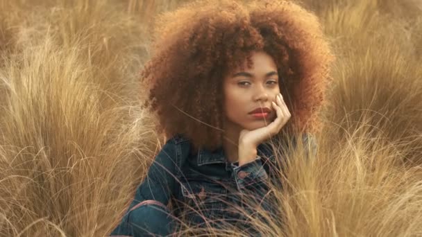 Mujer de raza mixta negra con pelo rizado afro grande en el campo de césped con hierba de heno de otoño seca alta y luz del atardecer — Vídeo de stock