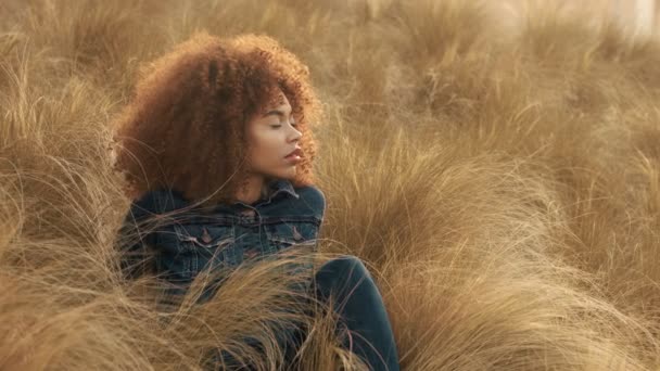 Mujer de raza mixta negra con pelo rizado afro grande en el campo de césped con hierba de heno de otoño seca alta y luz del atardecer — Vídeos de Stock