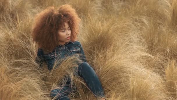 Smíšené rasy černý žena s velkým afro kudrnaté vlasy v trávníku oblasti s vysokým suché podzimní seno trávu a západ slunce světlo — Stock video