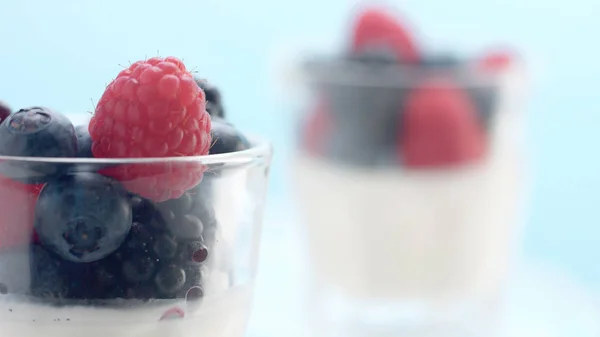 Transparente Gläser voller Joghurt, Panna Cotta, weißer Vanillemousse mit Beerendekor — Stockfoto