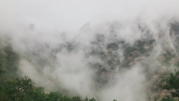 山の中の雨の日に移動する雲 — ストック動画