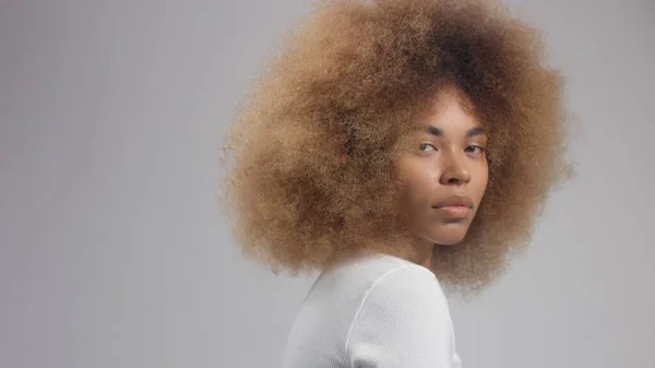 Smíšené rasy černošky žena s velkým afro vlasy ve studiu dát smetanovou šmouhu — Stock fotografie