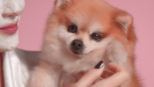 30-летняя брюнетка с собакой делает маску для лица рутинной — стоковое видео
