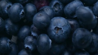 Çerçevesi yaban mersiniyle dolu ve üzerine biraz böğürtlen dökülüyor.