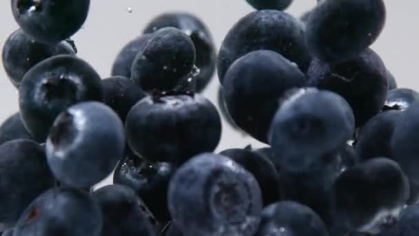 A lot of blueberries floating in clear water on white Slow motion from 120 fps — Stock Video