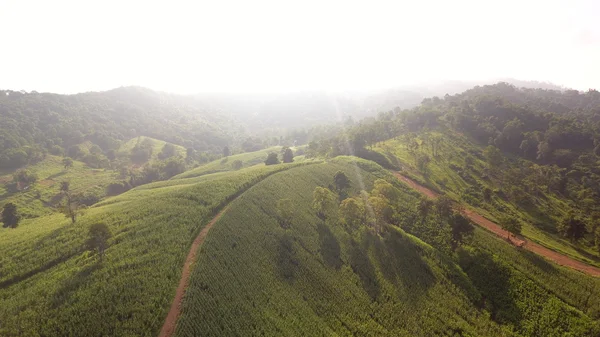 Berglandschaft am Morgen in Thailand. — Stockfoto