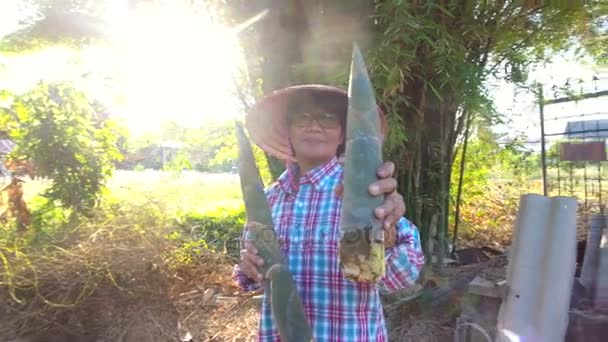 Тайские Фермеры Которые Держат Бамбуковые Побеги Бамбука Приведение Местную Кулинарию — стоковое видео