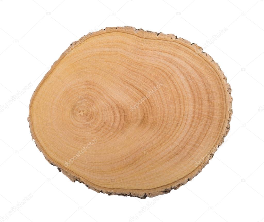 Top view of a tree stump