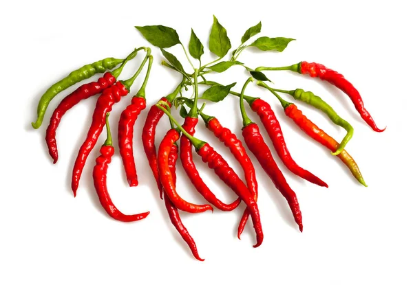 Pepper group isolated — Stock Photo, Image