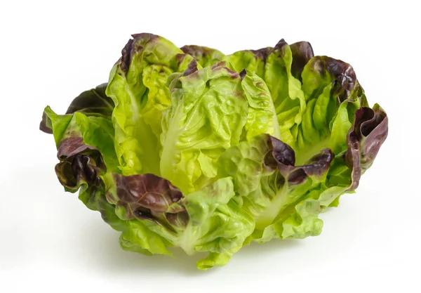 Friss fejes salátával — Stock Fotó