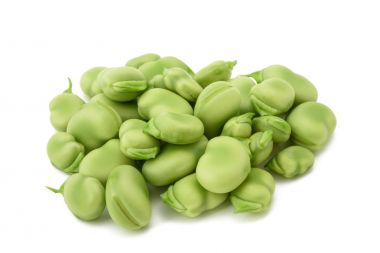 fava fasulyesi (Vicia faba)