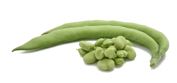 Fava fazole (Vicia faba) — Stock fotografie