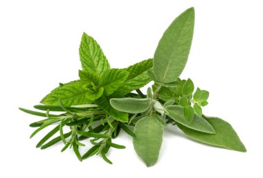 Taze baharatlar ve bitkiler.