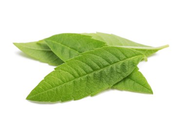 Louisa Herb yaprakları