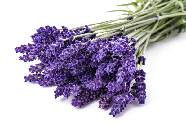 Lavanta çiçekleri grup