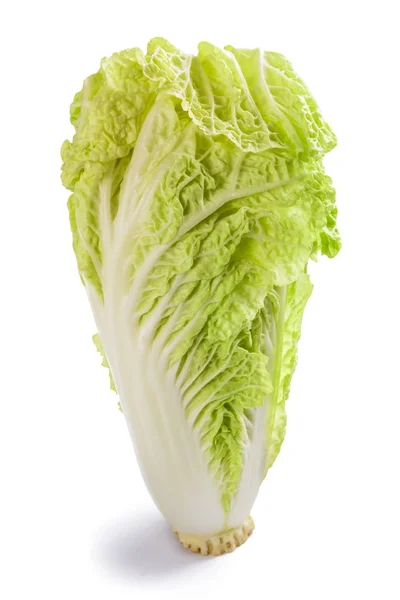 Fresh chinese cabbage — Stock Photo, Image