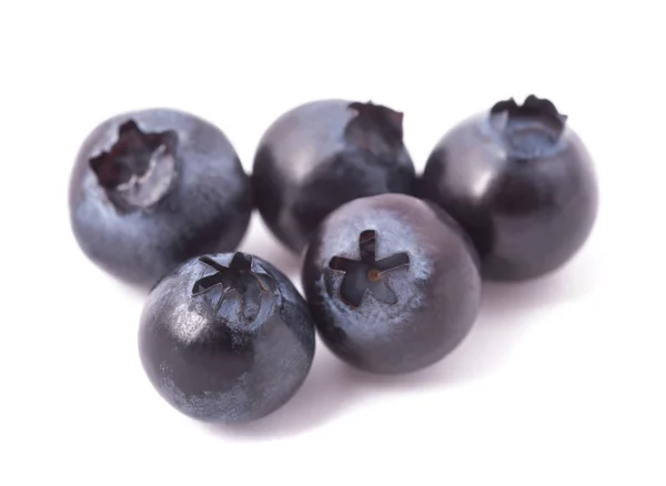 Blueberries (Vaccinium corymbosum) — Stock Photo, Image