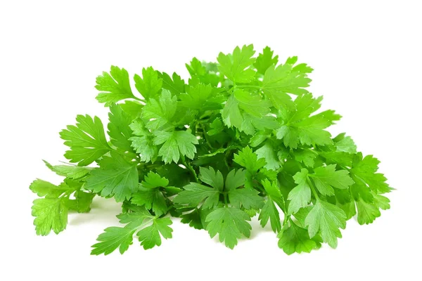 Fresh parsley bunch — Stock Photo, Image