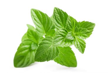 Taze daha az calamint 