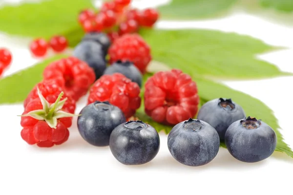 Blueberries and raspberries — Stock Photo, Image