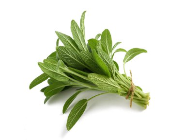 adaçayı (salvia officinalis )