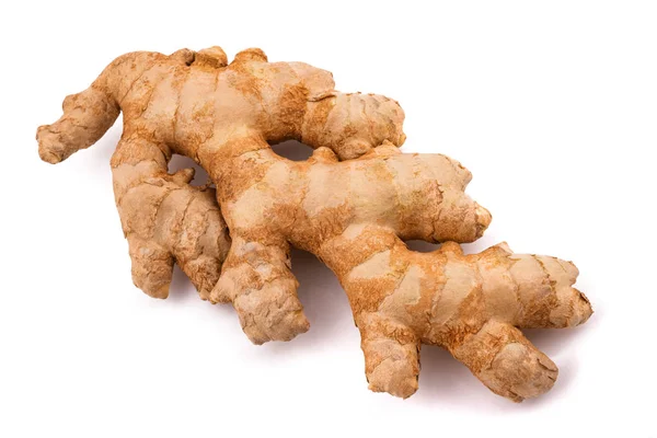 Ginger — Stock Photo, Image