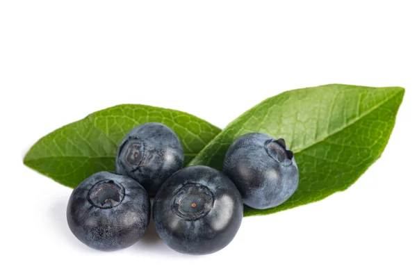 Blueberries Group Isolated White Background — Stock Photo, Image