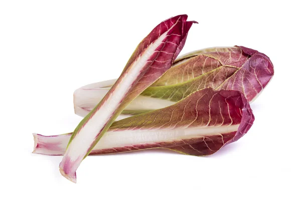 Rode Radicchio Geïsoleerd Witte Achtergrond — Stockfoto