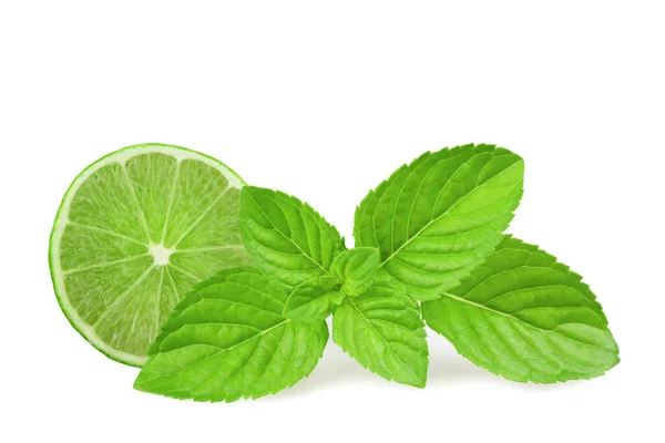 Lime Menta Izolált Fehér Alapon — Stock Fotó